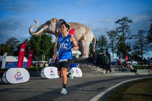 BIB: 
                            <button type="button" onclick="openModal(26541806)" class="btn btn-primary btn-sm float-right btn-popup" data-toggle="modal" data-target=".modal-high-quality">
                        <i class="fas fa-shopping-cart"></i> Add to Cart
                    </button>
                                            <button type="button" onclick="isThisMe(26541806, true)" class="btn btn-success btn-sm float-right btn-popup btn-isme hidden" data-toggle="tooltip" data-placement="bottom" title="นี่คือรูปของคุณใช่ไหม คลิกที่นี่เพื่อเอาเข้าอัลบั้ม">
                        <i class="fas fa-plus"></i> Add to album
                    </button>
                    <button type="button" onclick="isThisMe(26541806, false)" class="btn btn-warning btn-sm float-right btn-popup btn-isnotme hidden">
                        <i class="fas fa-ban"></i> Remove from album
                    </button>